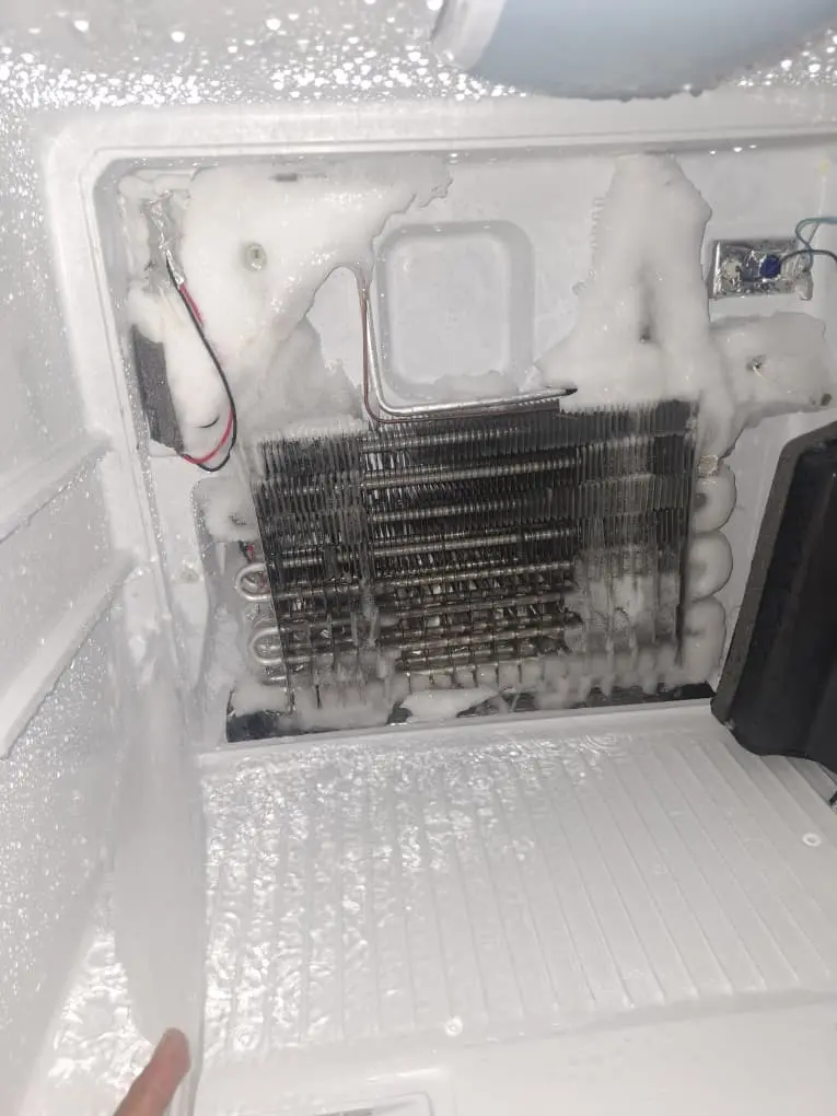 Freezer coil inspection