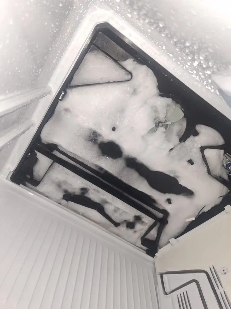 Appliance deep cleaning