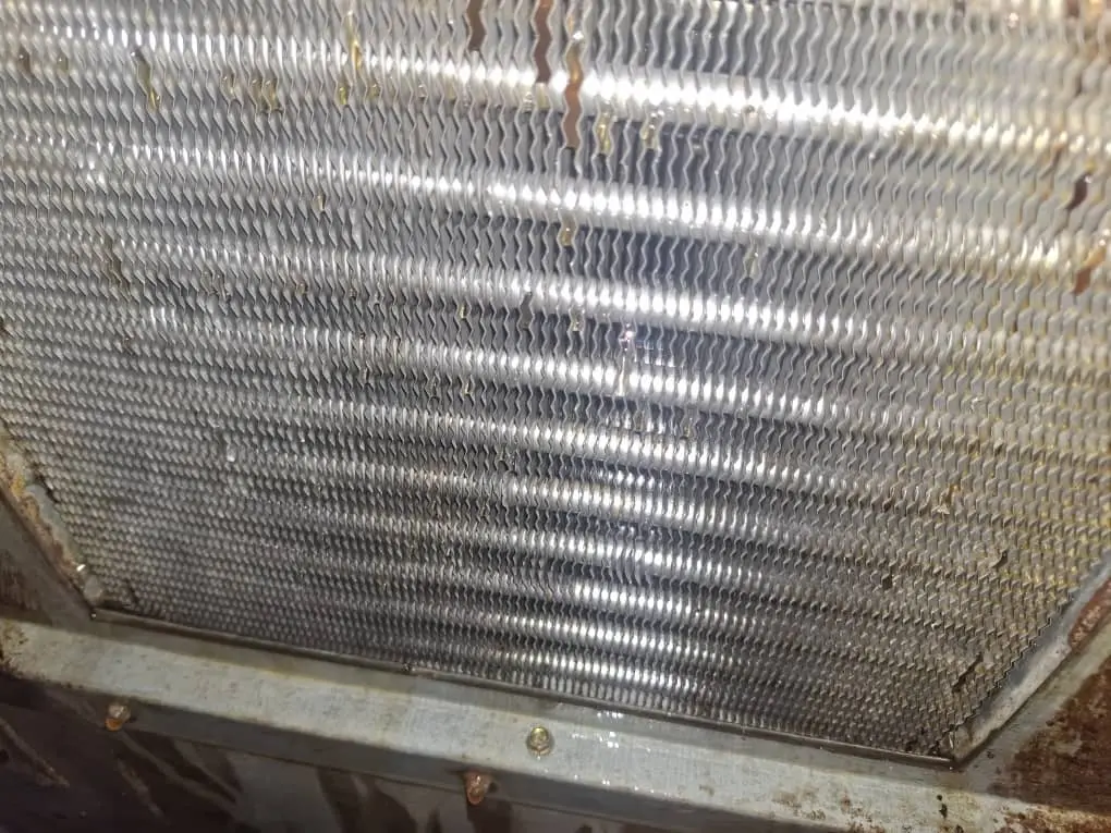 Commercial chiller cooling coil inspection